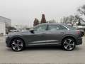 Audi SQ8 4,0 TDI QUATTRO / VOLL AUSTATTUNG / Grau - thumbnail 3