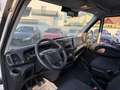 Iveco Daily 35S12 4100/MWST AUSWEISBAR Schwarz - thumbnail 8