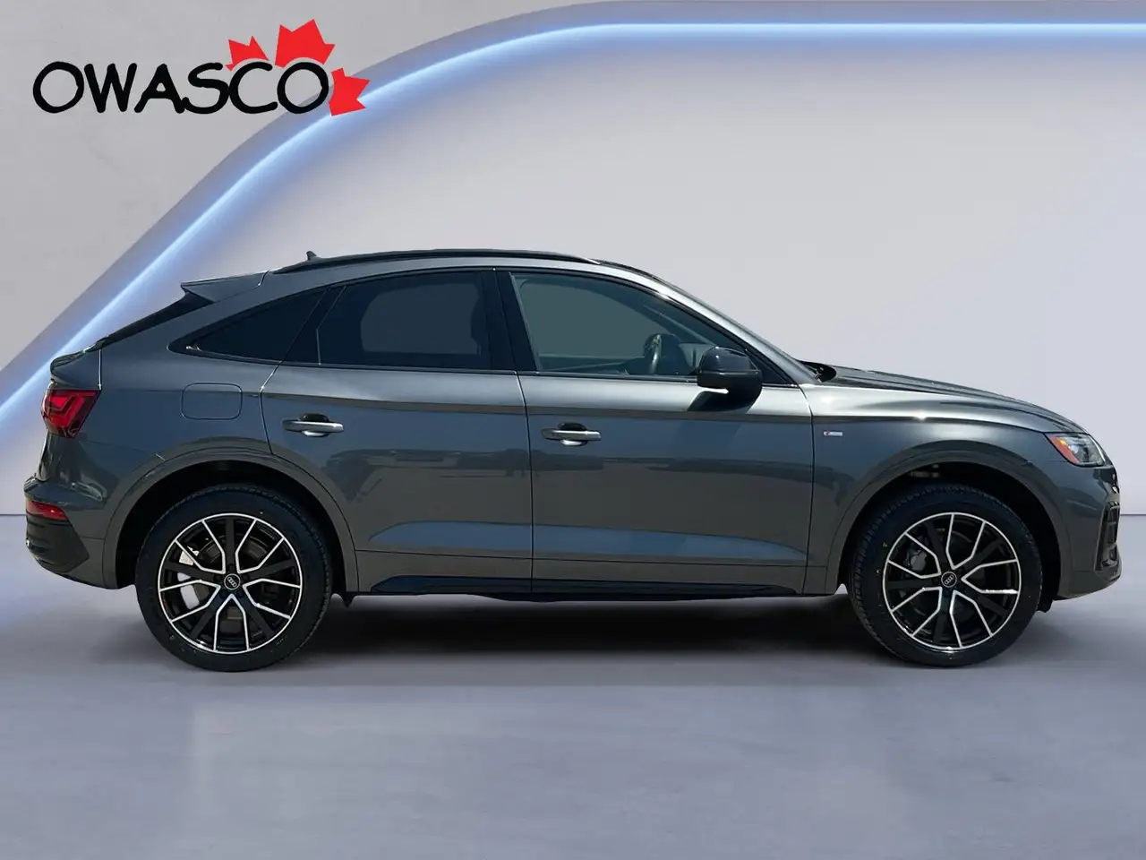 Audi Q5 fotografie Audi Q5