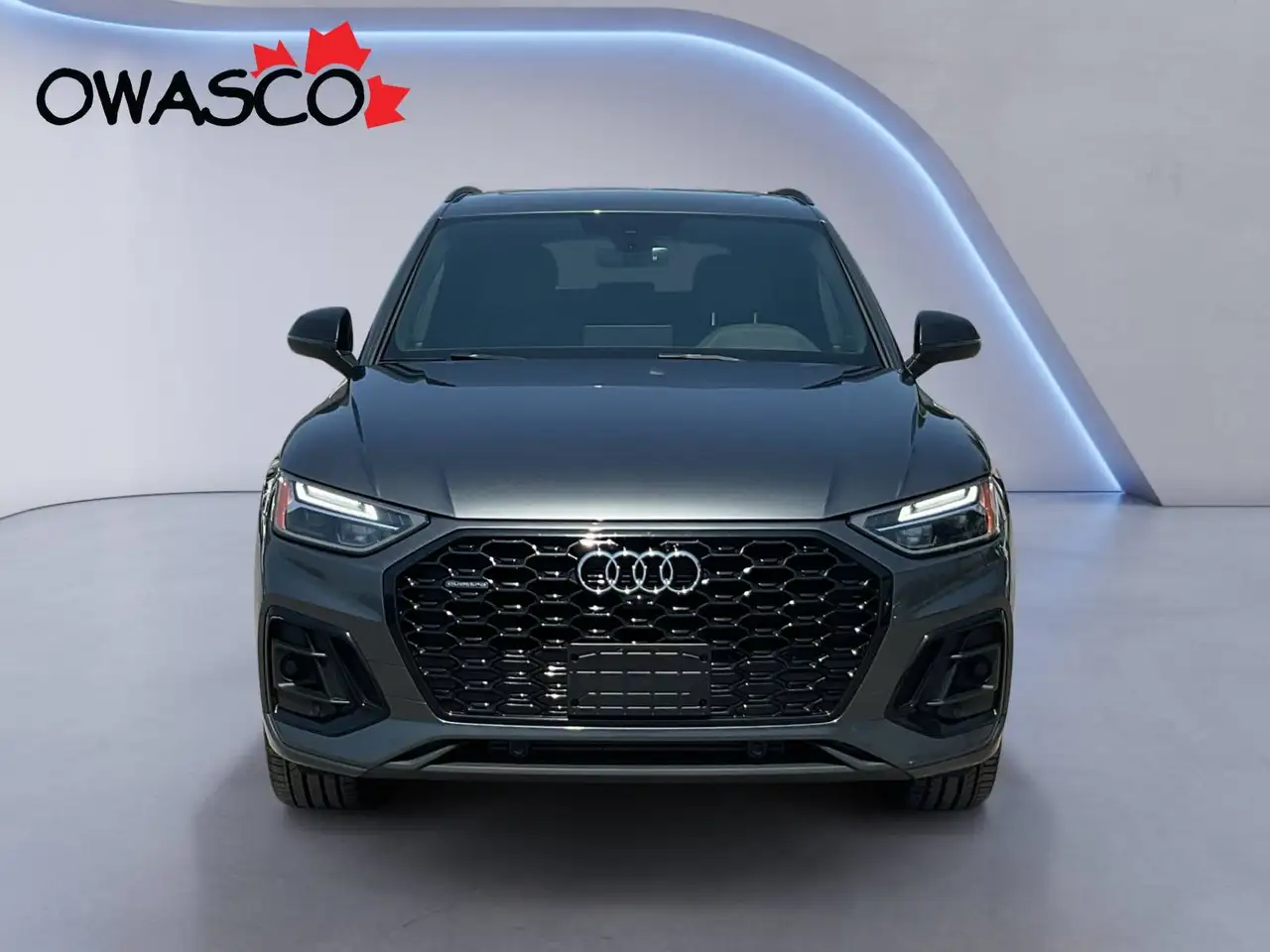 Audi Q5 fotografie Audi Q5