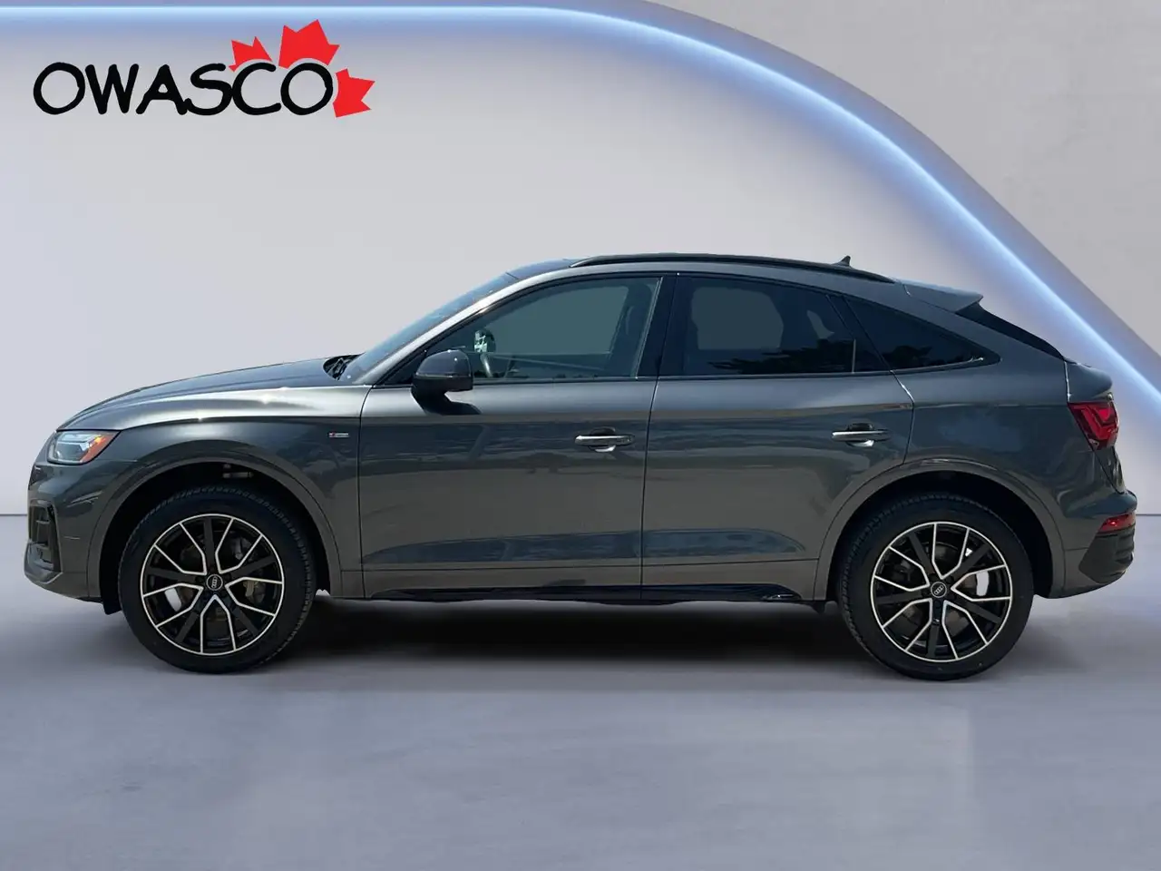 Audi Q5 fotografie Audi Q5