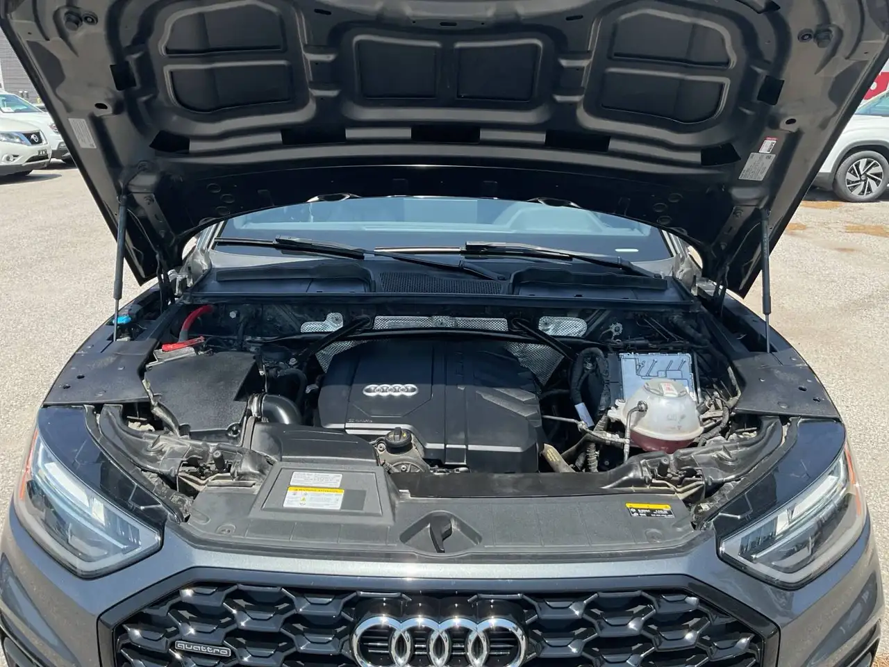 Audi Q5 fotografie Audi Q5