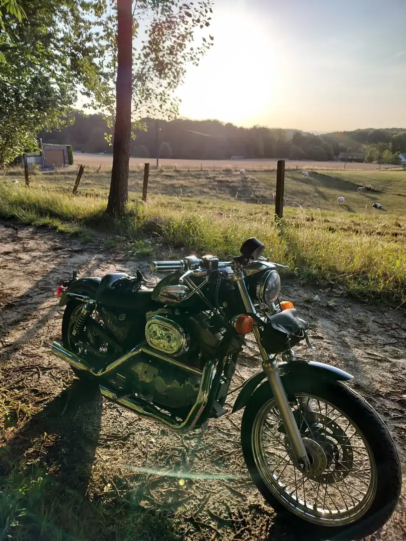 Harley-Davidson Sportster 883 Negru - 2