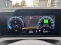 Volkswagen Tiguan Life Business2.0 TDI SCR 110 kW (150 ch) 7 vitesses DSG Grigio - thumbnail 14