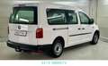 Volkswagen Caddy /Maxi Kombi BMT/Klima/1 Hand Blanc - thumbnail 4