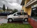 Fiat Panda 1.2 Lounge 69cv E6  5 POSTI Plateado - thumbnail 2