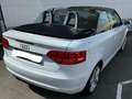 Audi Cabriolet A3 Cabriolet 1.4 TFSI Ambition S-Line Weiß - thumbnail 4