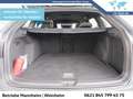 Volkswagen Golf Variant Golf VIII Variant 2.0 TSI R-Line DSG Navi Kamera Grau - thumbnail 6