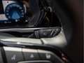 Ford Tourneo Grand TITANIUM L2 KAMERA NAVI ACC LED Grau - thumbnail 22