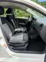 Volkswagen Polo 1.2 5 porte Trendline Bianco - thumbnail 12