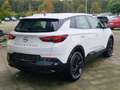 Opel Grandland GS Automatik AHK *Garantie 05.2027 Wit - thumbnail 6