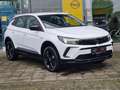 Opel Grandland GS Automatik AHK *Garantie 05.2027 Wit - thumbnail 2