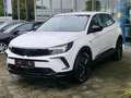Opel Grandland GS Automatik AHK *Garantie 05.2027 Wit - thumbnail 4