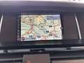 BMW X4 xDrive20d Advantage *XENON*PDC*NAV*RFK* Grau - thumbnail 12