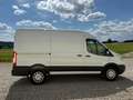 Ford Transit Kasten 350 L2 Trend Allrad 4x4 Facelift Weiß - thumbnail 7