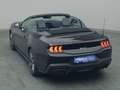 Ford Mustang GT Cabrio V8 446PS Aut./MagneRide Schwarz - thumbnail 43