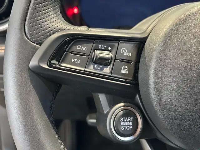 Alfa Romeo Tonale view 13