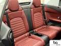 Mercedes-Benz C 250 C 250 Cabrio AMG Line 19/LED/Comand/Park/Komf/AHK Alb - thumbnail 8