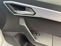 SEAT Ibiza 1.0 TSI FR Ausstattungs-Paket Pro Virtual Weiß - thumbnail 15