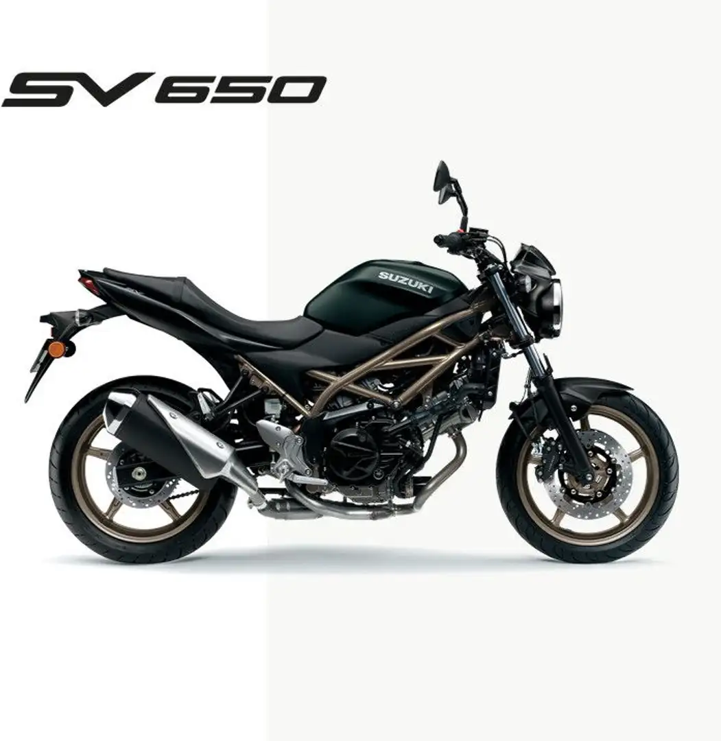 Suzuki SV 650 M5 2025 Grau - 2