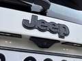 Jeep Renegade Renegade 1.0 t3 Limited 2wd-GPL!!! Weiß - thumbnail 5