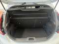 Ford Fiesta Fiesta VI 2013 3p 1.6 ST 200cv Grigio - thumbnail 13