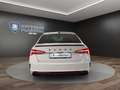 Skoda Octavia Lim. 1.4 TSI DSG RS iV CANTON+DCC+KAMERA Klima Weiß - thumbnail 6