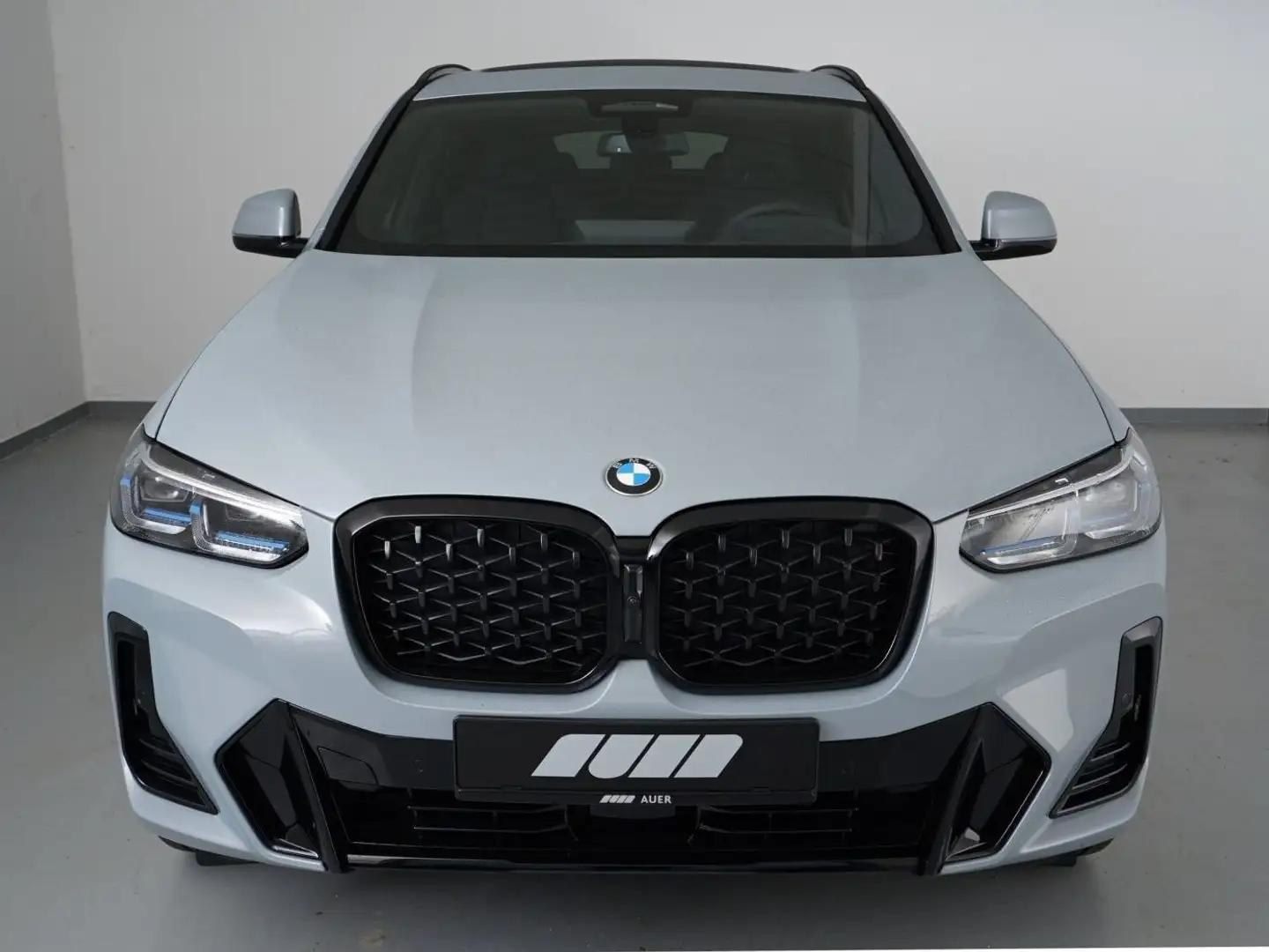 BMW X4 Xdrive20d mhev 48V Msport auto Gri - 2