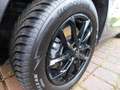 SsangYong Tivoli Ssangyong 1.5 T-GDI 2WD AT Fizz (XK) Blau - thumbnail 18