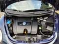 Volkswagen New Beetle 1.6 Blu/Azzurro - thumbnail 12