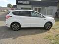 Ford Kuga ST-Line Bianco - thumbnail 4
