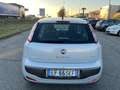 Fiat Punto Evo Punto Evo 1.4 5 porte S&S Active Wit - thumbnail 8