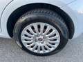Fiat Punto Evo Punto Evo 1.4 5 porte S&S Active Wit - thumbnail 12
