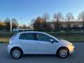Fiat Punto Evo Punto Evo 1.4 5 porte S&S Active Wit - thumbnail 5