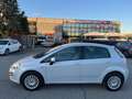 Fiat Punto Evo Punto Evo 1.4 5 porte S&S Active Wit - thumbnail 9