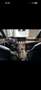 Mercedes-Benz E 220 d Exclusive Aut. - thumbnail 5