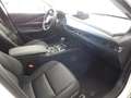 Mazda CX-30 2.5L e-SKYACTIV G 140ps 6AT FWD Exclusive-line Blanc - thumbnail 12