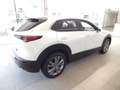 Mazda CX-30 2.5L e-SKYACTIV G 140ps 6AT FWD Exclusive-line Blanc - thumbnail 6