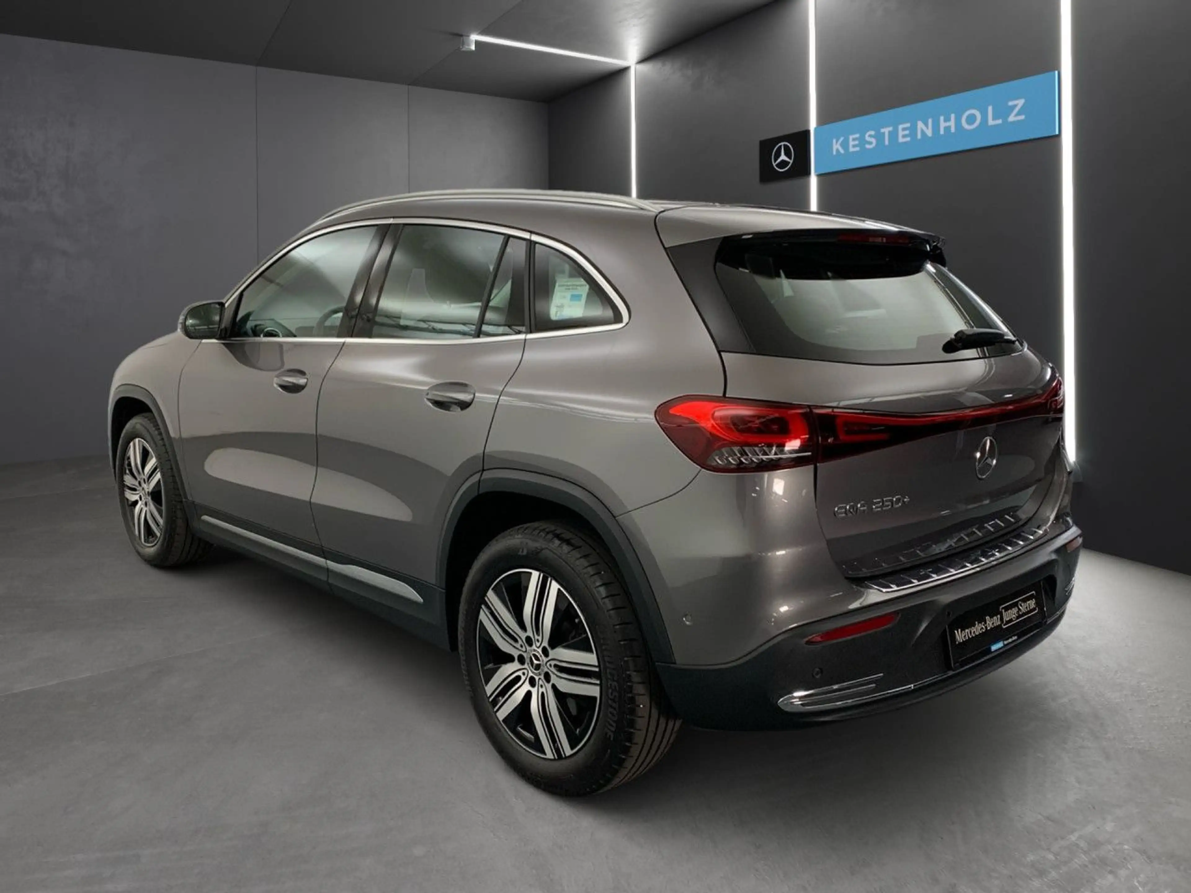 Mercedes-Benz EQA 250 Pano LED Kamera Laderaump Spurhalt-Ass PTS — photo 6
