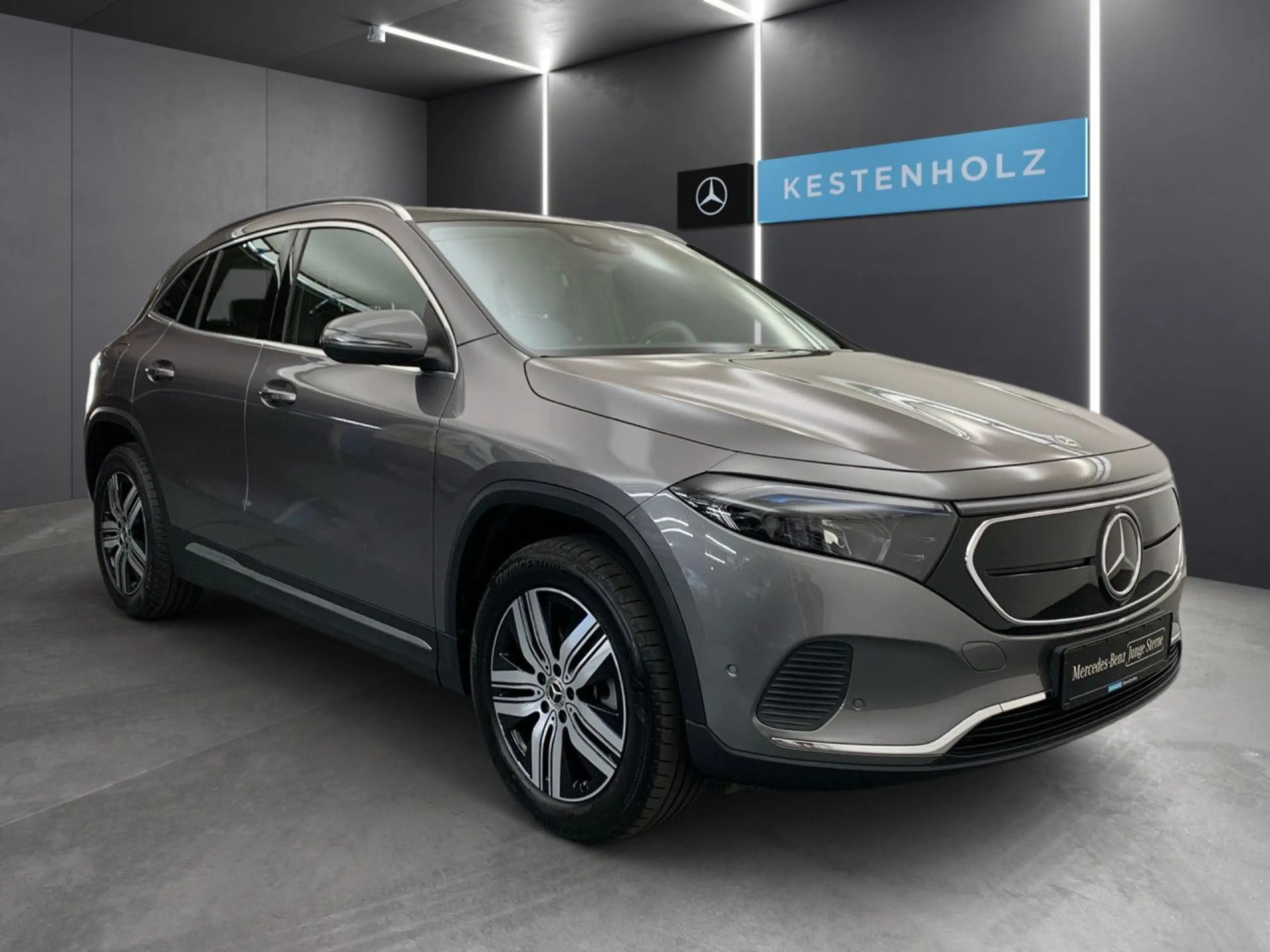 Mercedes-Benz EQA 250 Pano LED Kamera Laderaump Spurhalt-Ass PTS — photo 4