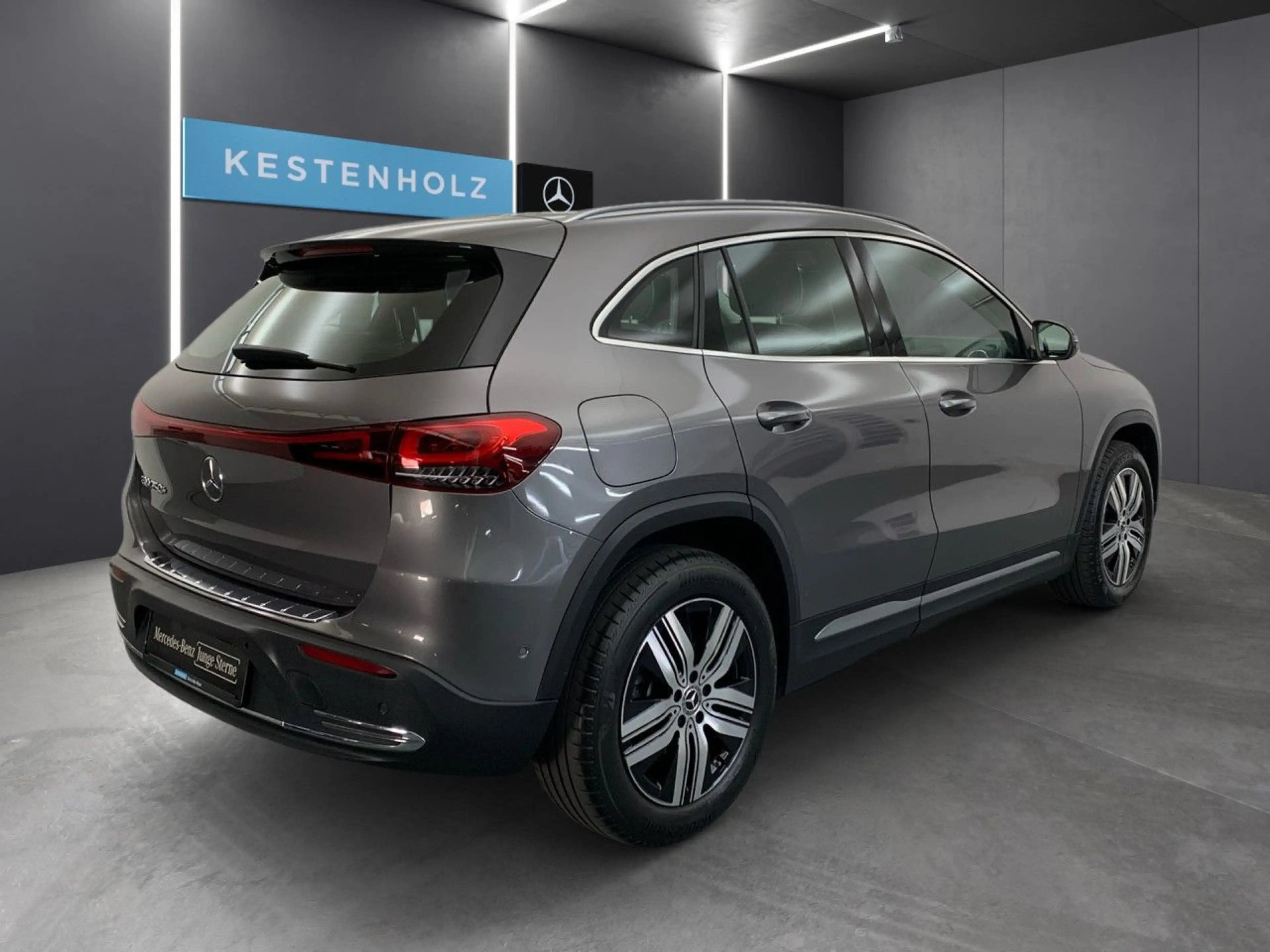 Mercedes-Benz EQA 250 Pano LED Kamera Laderaump Spurhalt-Ass PTS — photo 5