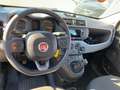 Fiat Panda Panda III 2021 4x4 0.9 t.air t. Wild 4x4 s Grigio - thumbnail 14