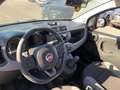 Fiat Panda Panda III 2021 4x4 0.9 t.air t. Wild 4x4 s Grigio - thumbnail 13