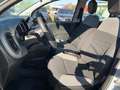 Fiat Panda Panda III 2021 4x4 0.9 t.air t. Wild 4x4 s Grigio - thumbnail 12
