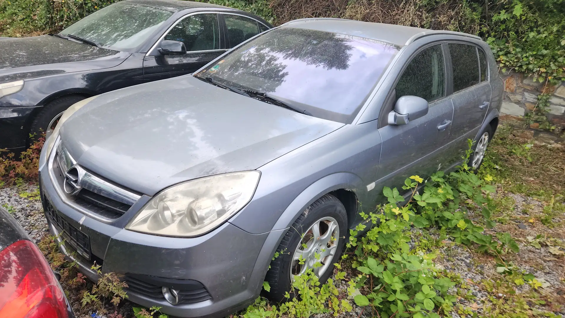 Opel Signum Edition/Navi/Klima/Sitzheizung/AHK Kék - 2