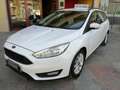 Ford Focus SW 1.5 TDCI E6 "COME NUOVA" Bianco - thumbnail 1