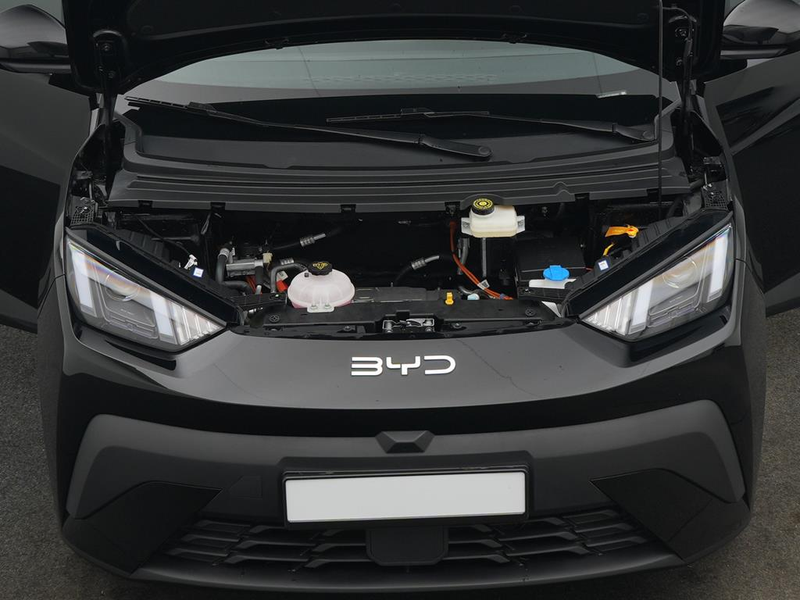 BYD Dolphin Boost — photo 7