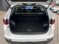 Kia Sportage 1.6 CRDi 136ch MHEV Black Edition 4x2 GPS Camera Blanco - thumbnail 14