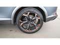CUPRA Formentor 1.4 VZ PHEV 150/245 Aut LED RADAR NAVI Grau - thumbnail 27