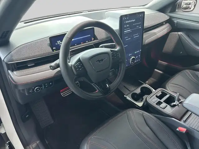 Ford Mustang Mach-E view 9